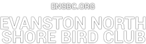The Evanston North Shore Bird Club