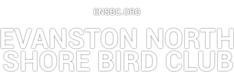 The Evanston North Shore Bird Club